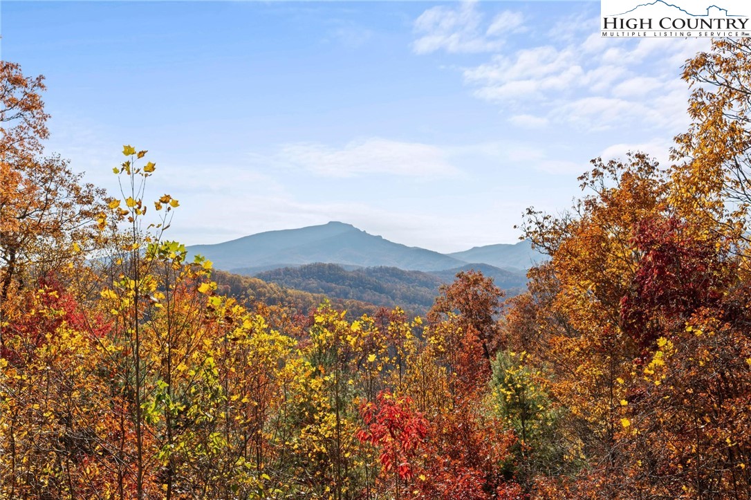 3740 Poplar Grove Road South Boone, NC 28607 - Photo 2 of 36 Gallery Image 2