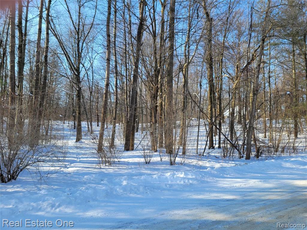 1 Miller Road Attica, MI 48412 - Photo 1 of 14