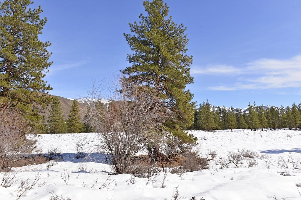 0 Rabbit Hutch Road Winthrop, WA 98862 - Photo 12 of 19 Gallery Image 12