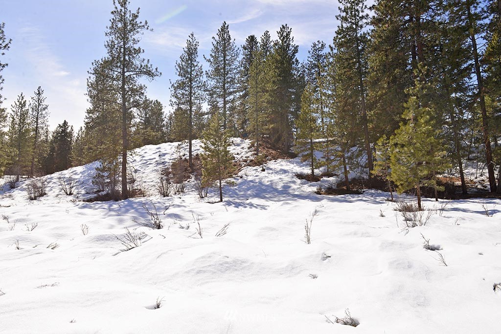0 Rabbit Hutch Road Winthrop, WA 98862 - Photo 15 of 19 Gallery Image 15