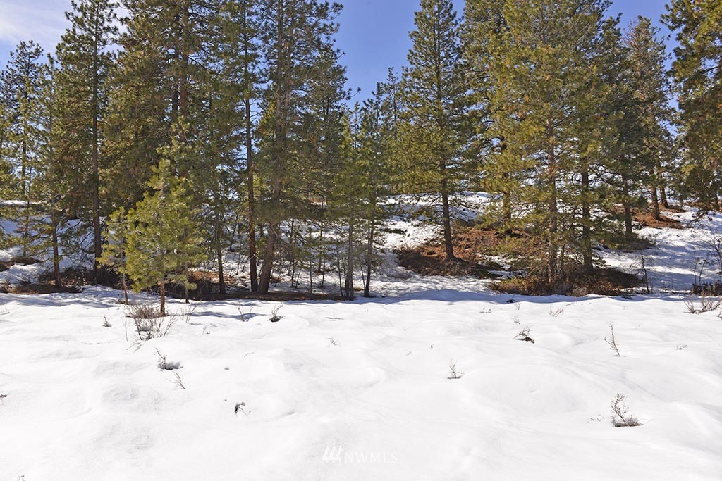 0 Rabbit Hutch Road Winthrop, WA 98862 - Photo 16 of 19 Gallery Image 16