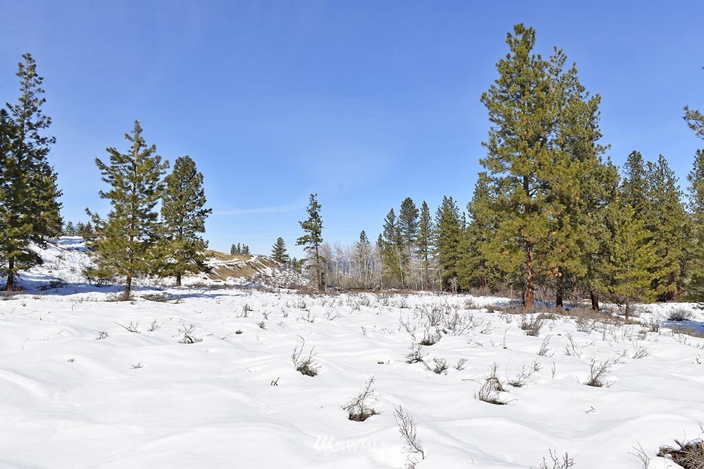 0 Rabbit Hutch Road Winthrop, WA 98862 - Photo 18 of 19 Gallery Image 18