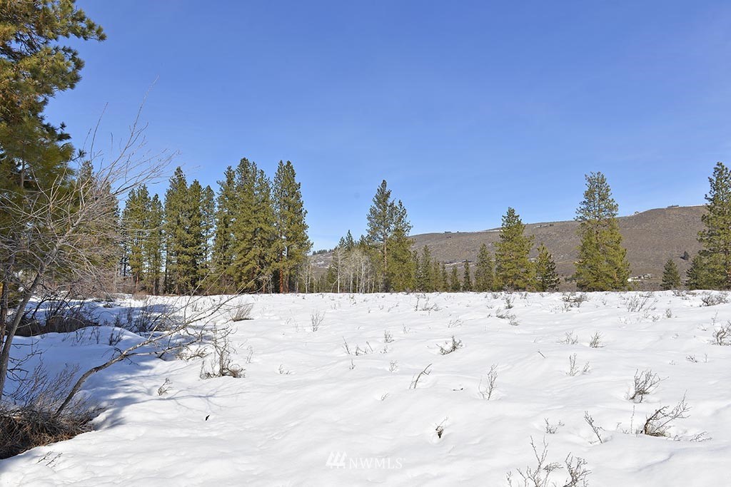 0 Rabbit Hutch Road Winthrop, WA 98862 - Photo 4 of 19 Gallery Image 4