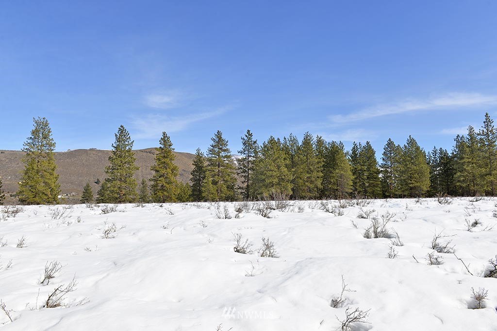 0 Rabbit Hutch Road Winthrop, WA 98862 - Photo 5 of 19 Gallery Image 5