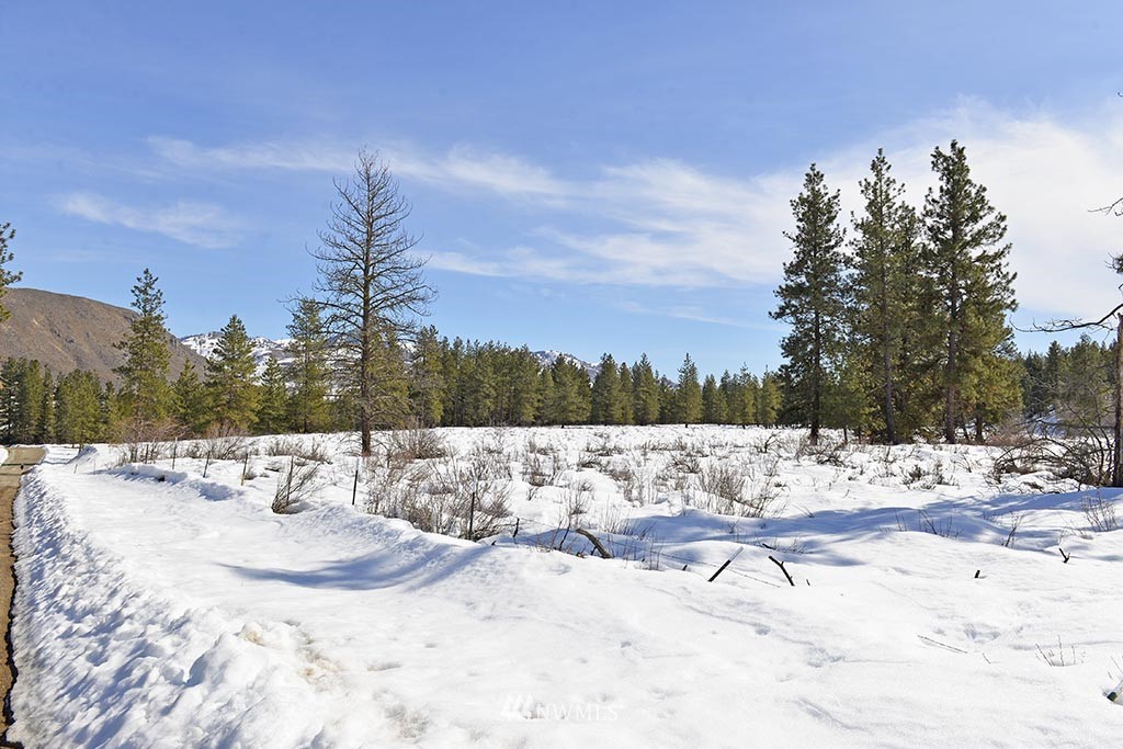 0 Rabbit Hutch Road Winthrop, WA 98862 - Photo 8 of 19 Gallery Image 8