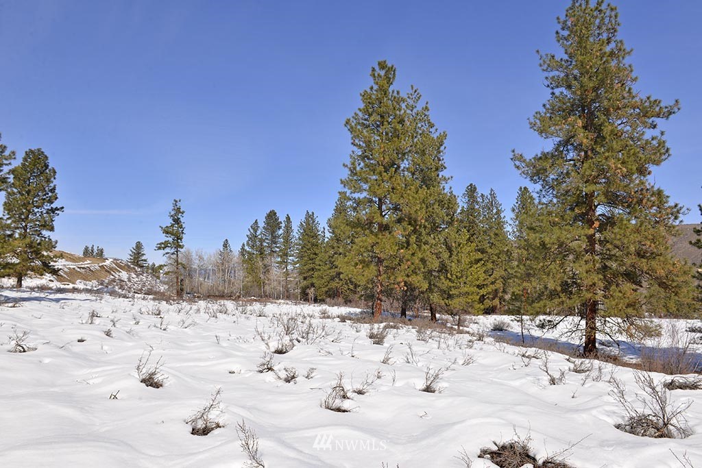 0 Rabbit Hutch Road Winthrop, WA 98862 - Photo 10 of 19 Gallery Image 10