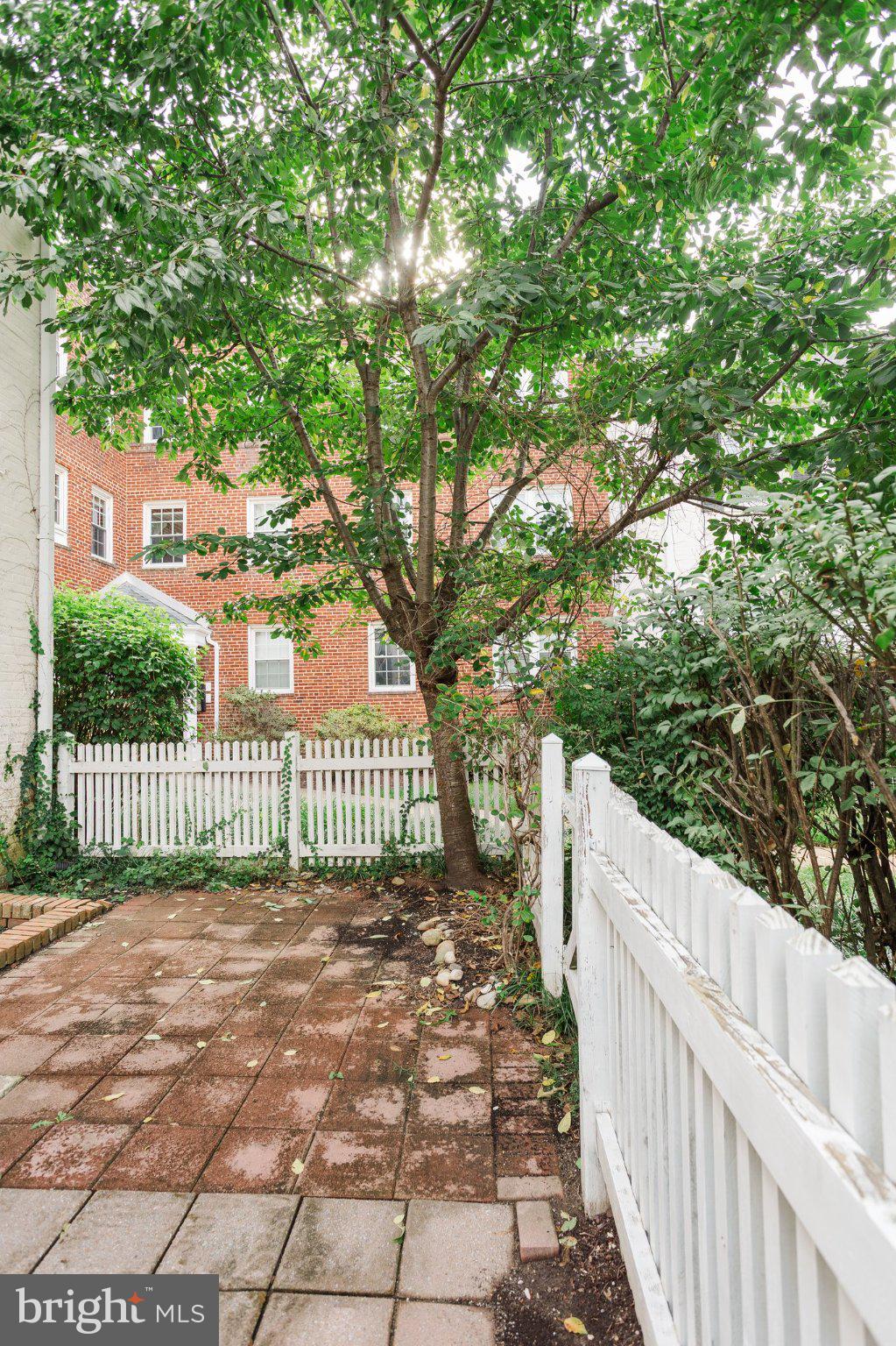 2908 13th Road South, Unit 102 Arlington, VA 22204 - Photo 18 of 26 Gallery Image 18