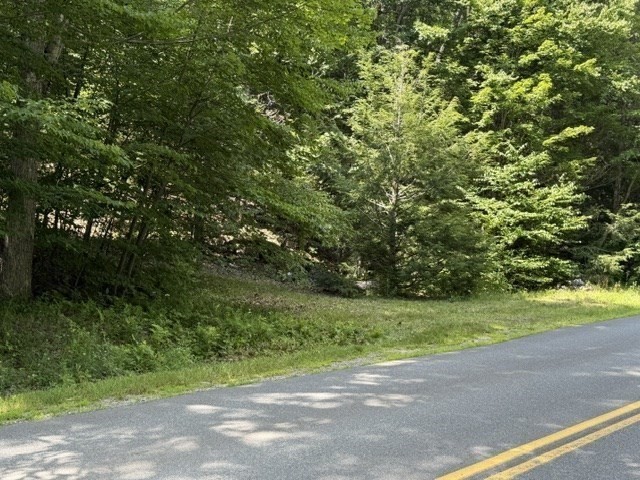 0 Zoar Road Rowe, MA 01367 - Photo 19 of 25 Gallery Image 19
