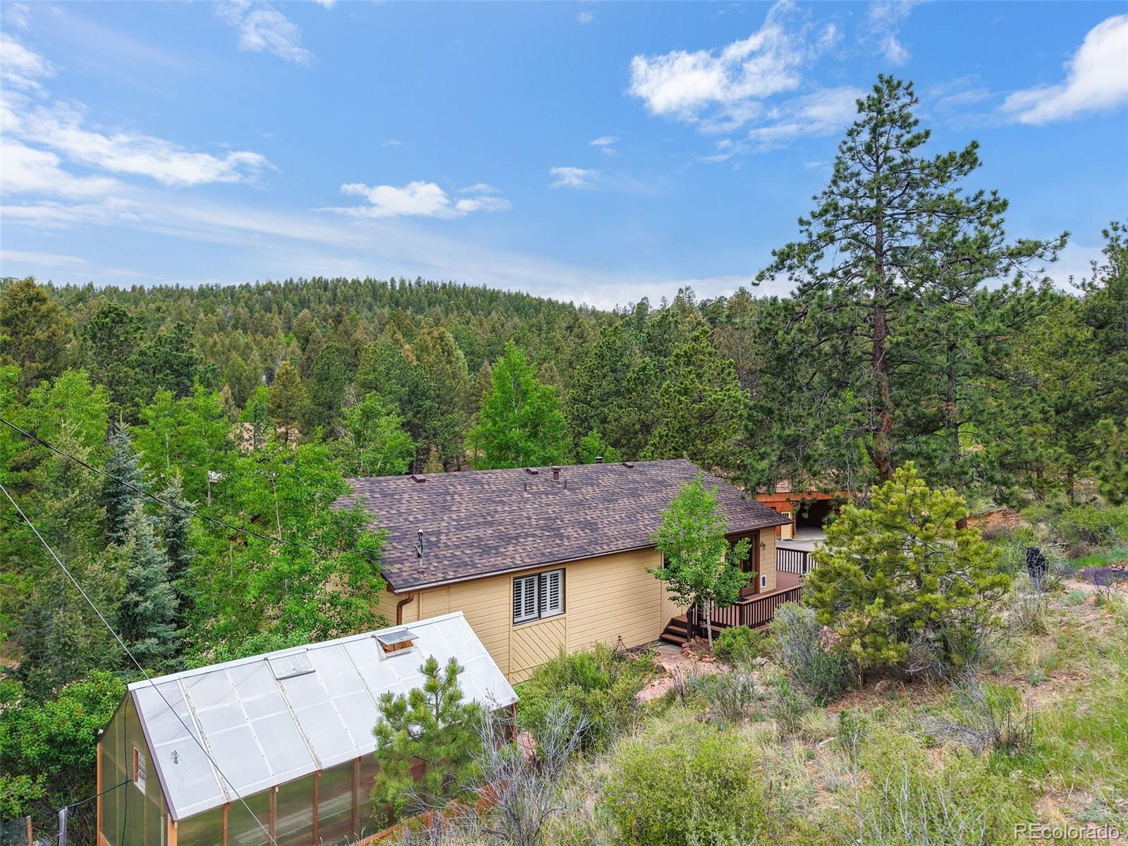 33799 Warren Road Pine, CO 80470 - Photo 45 of 50