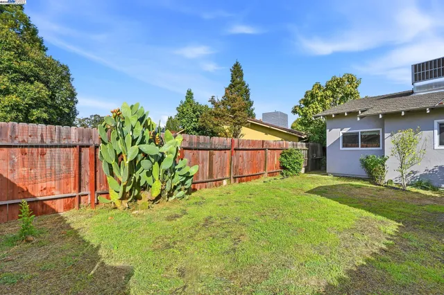 a view of backyard with a garden and plants