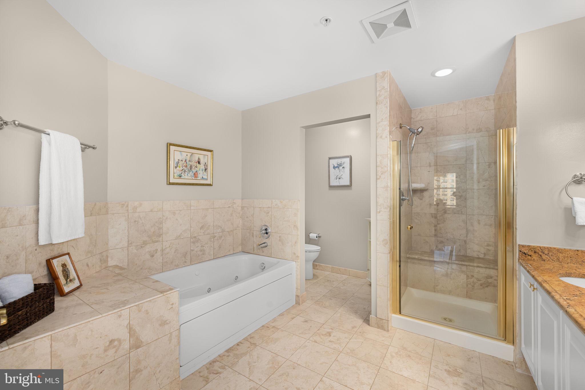 11776 Stratford House Place, Unit 907 Reston, VA 20190 - Photo 20 of 38 a bathroom with a bathtub and a shower