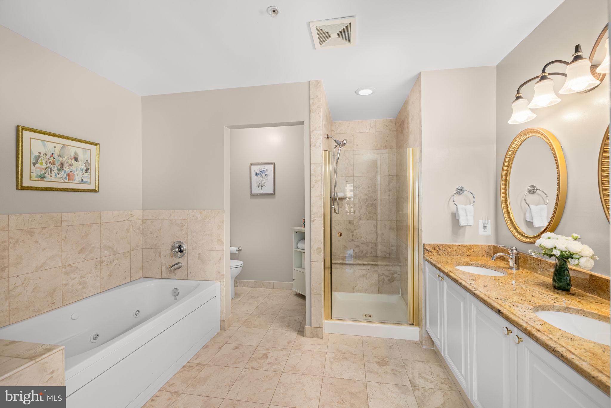 11776 Stratford House Place, Unit 907 Reston, VA 20190 - Photo 23 of 38 a bathroom with a granite countertop tub sink and mirror