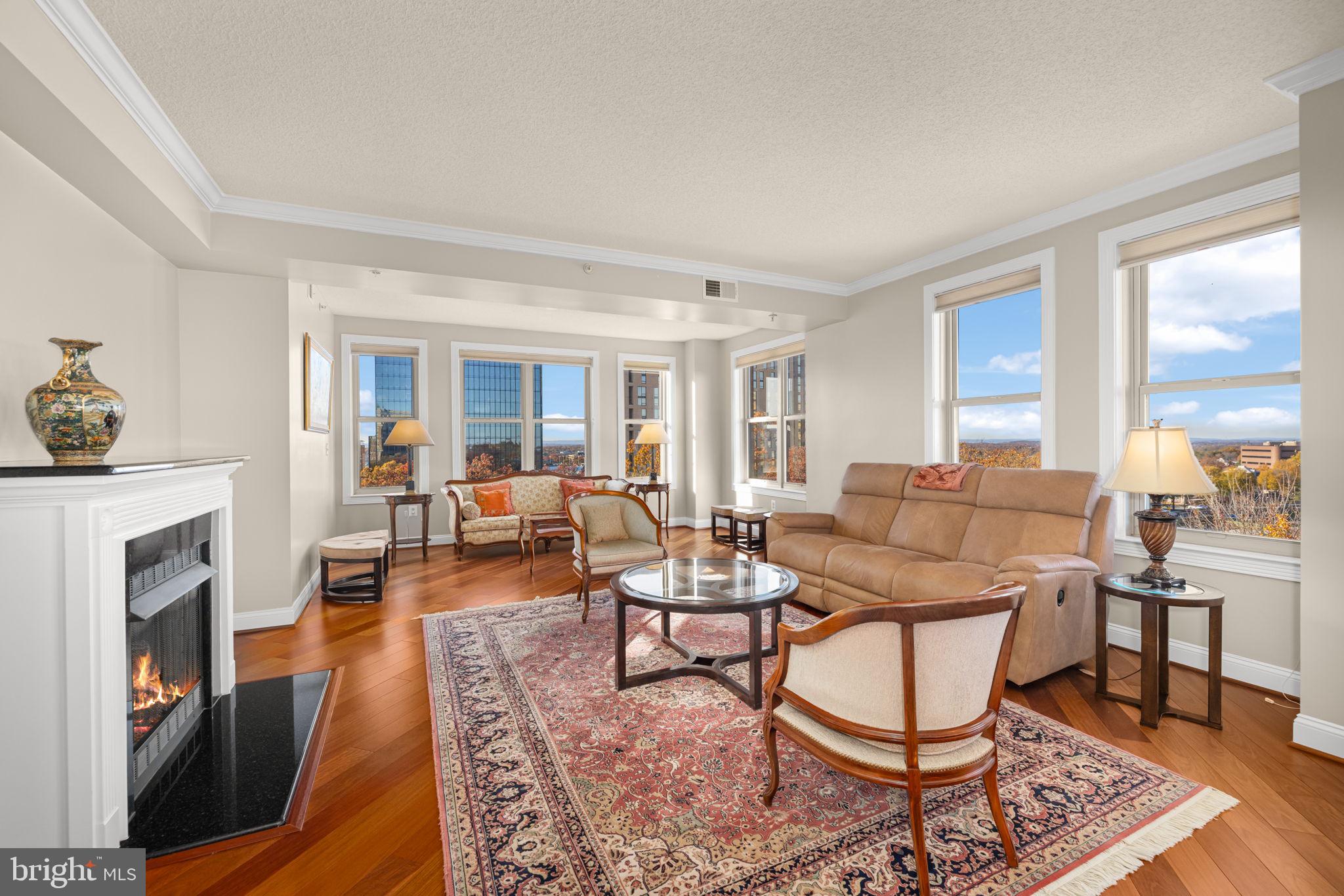 11776 Stratford House Place, Unit 907 Reston, VA 20190 - Photo 6 of 38 a living room with fireplace furniture and a rug