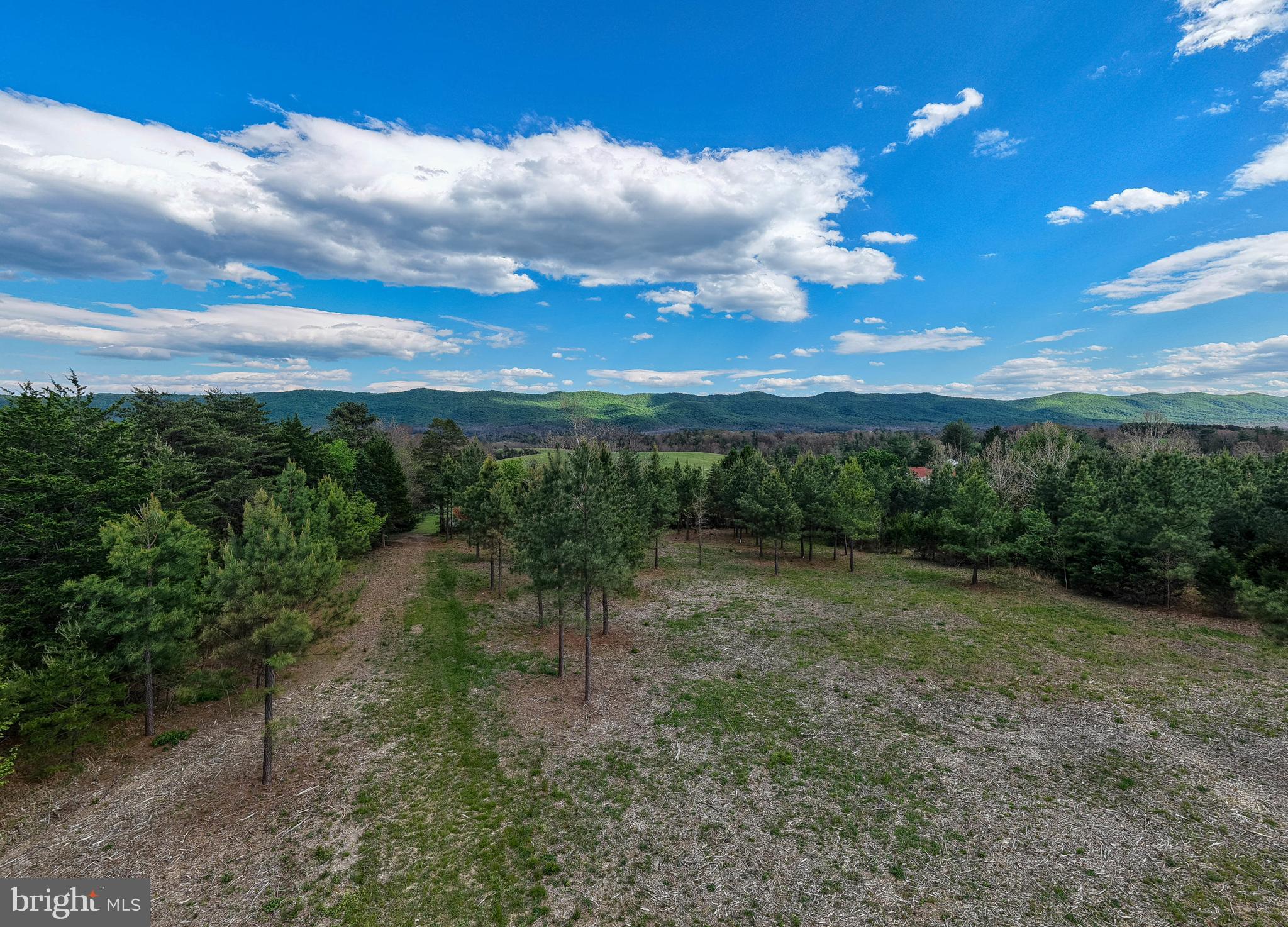 Boliver Road Fort Valley, VA 22652 - Photo 11 of 49