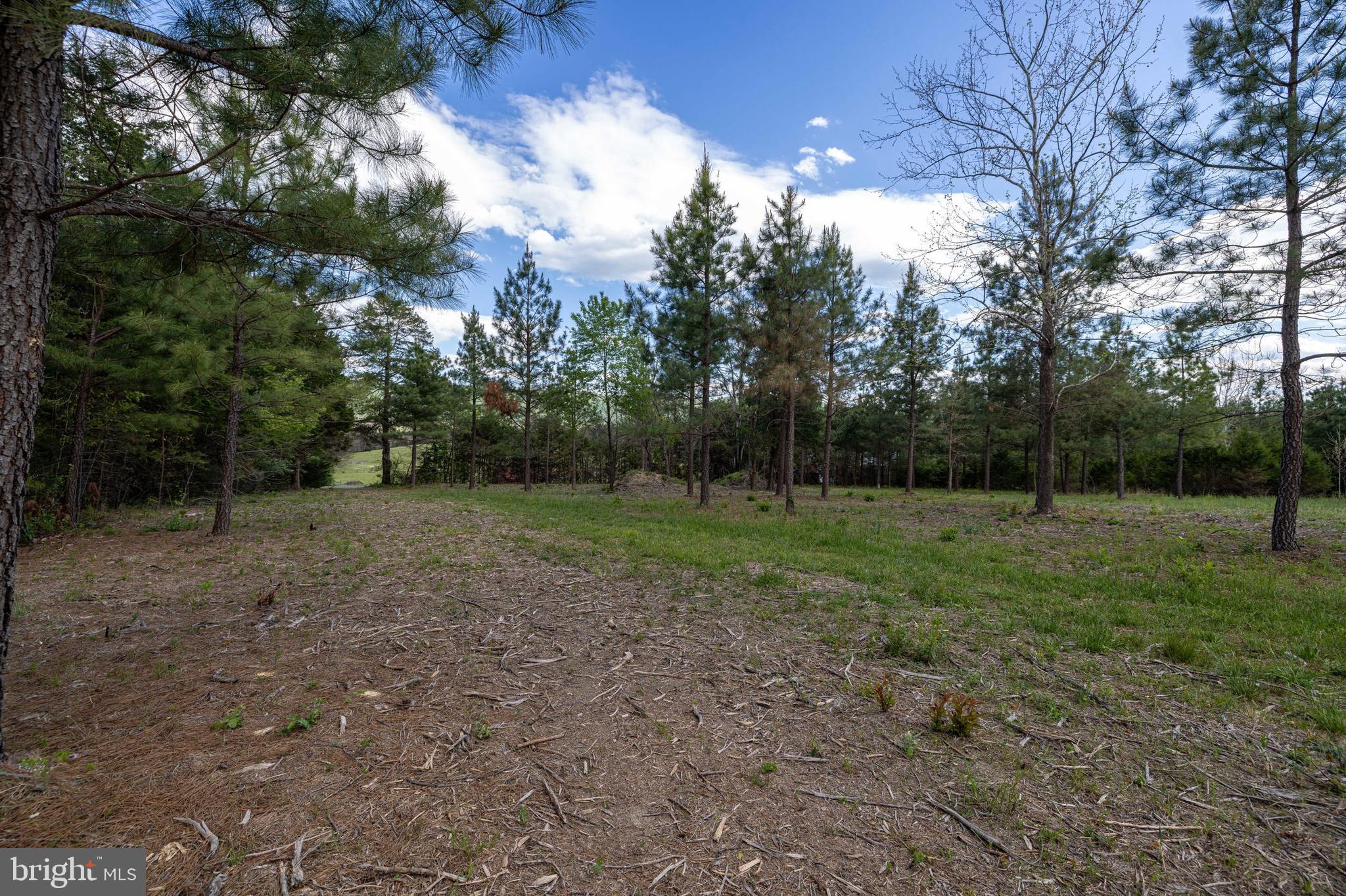 Boliver Road Fort Valley, VA 22652 - Photo 12 of 49