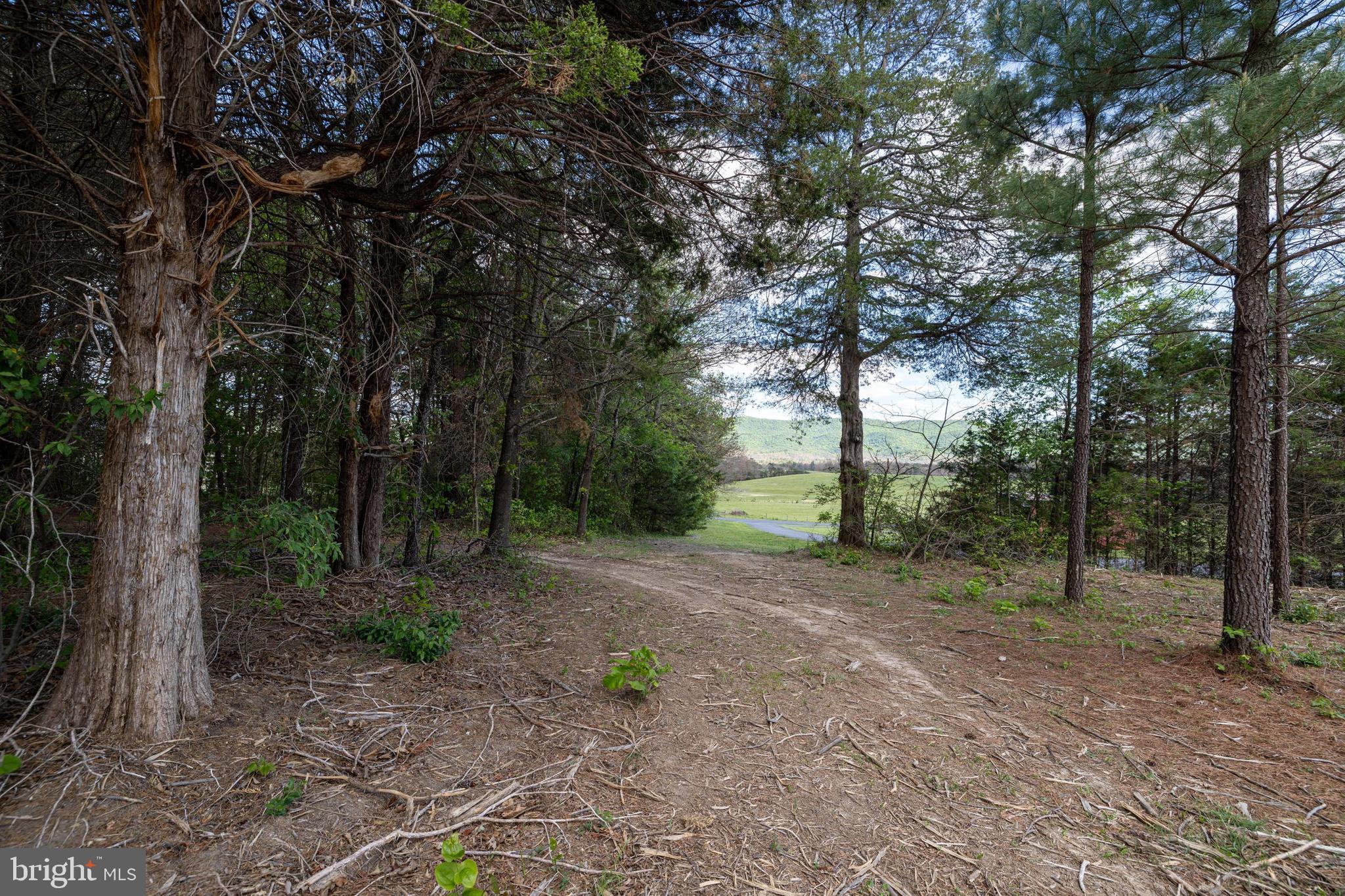 Boliver Road Fort Valley, VA 22652 - Photo 13 of 49