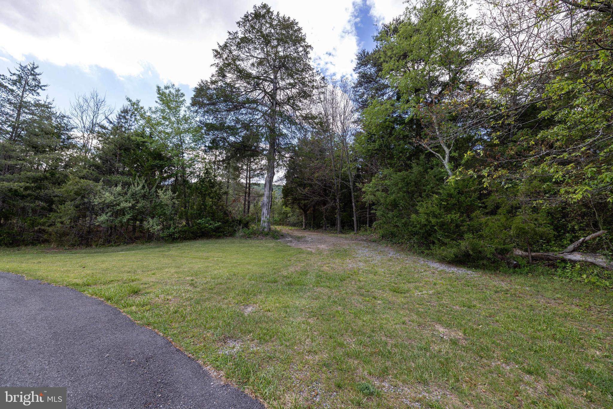 Boliver Road Fort Valley, VA 22652 - Photo 16 of 49