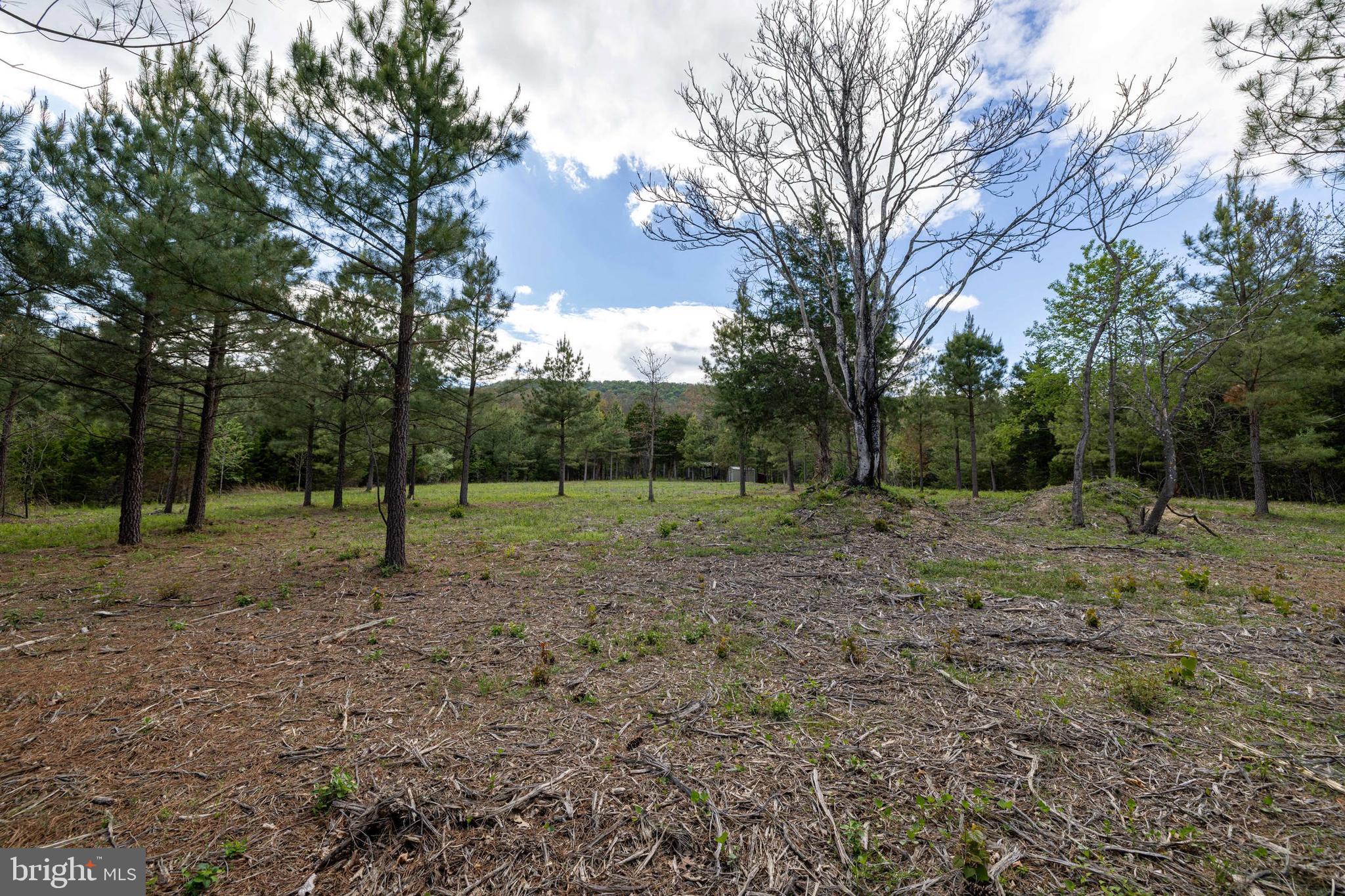 Boliver Road Fort Valley, VA 22652 - Photo 18 of 49