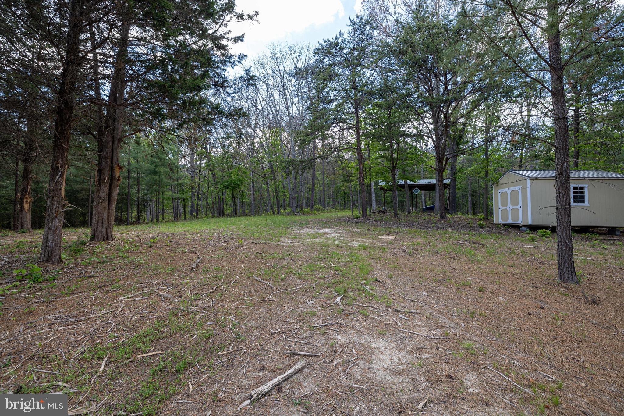 Boliver Road Fort Valley, VA 22652 - Photo 2 of 49