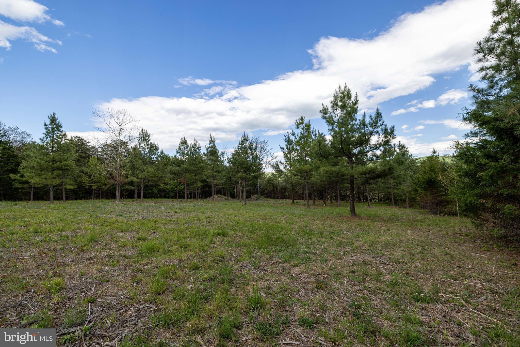 Boliver Road Fort Valley, VA 22652 - Photo 21 of 49