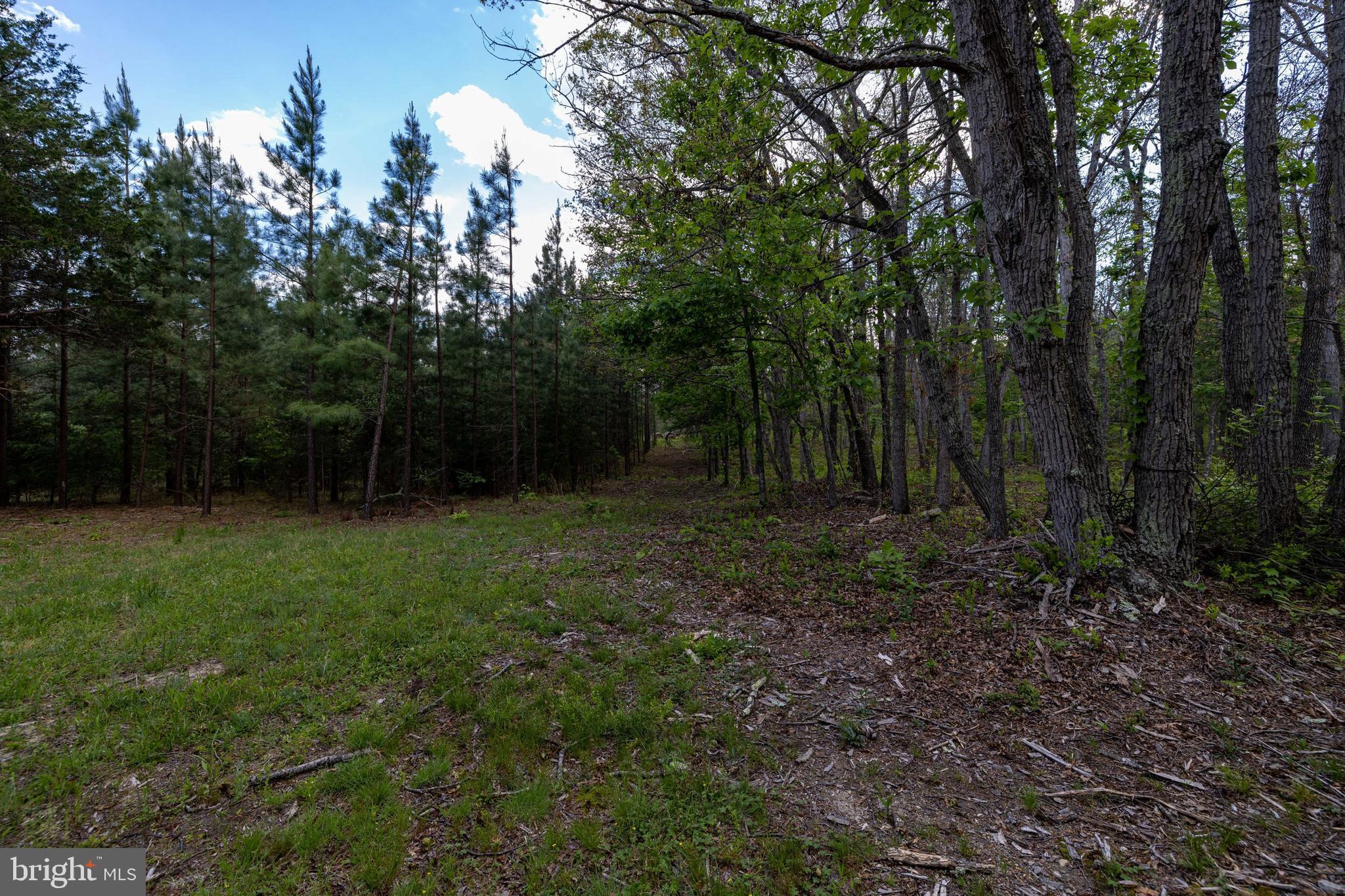 Boliver Road Fort Valley, VA 22652 - Photo 25 of 49