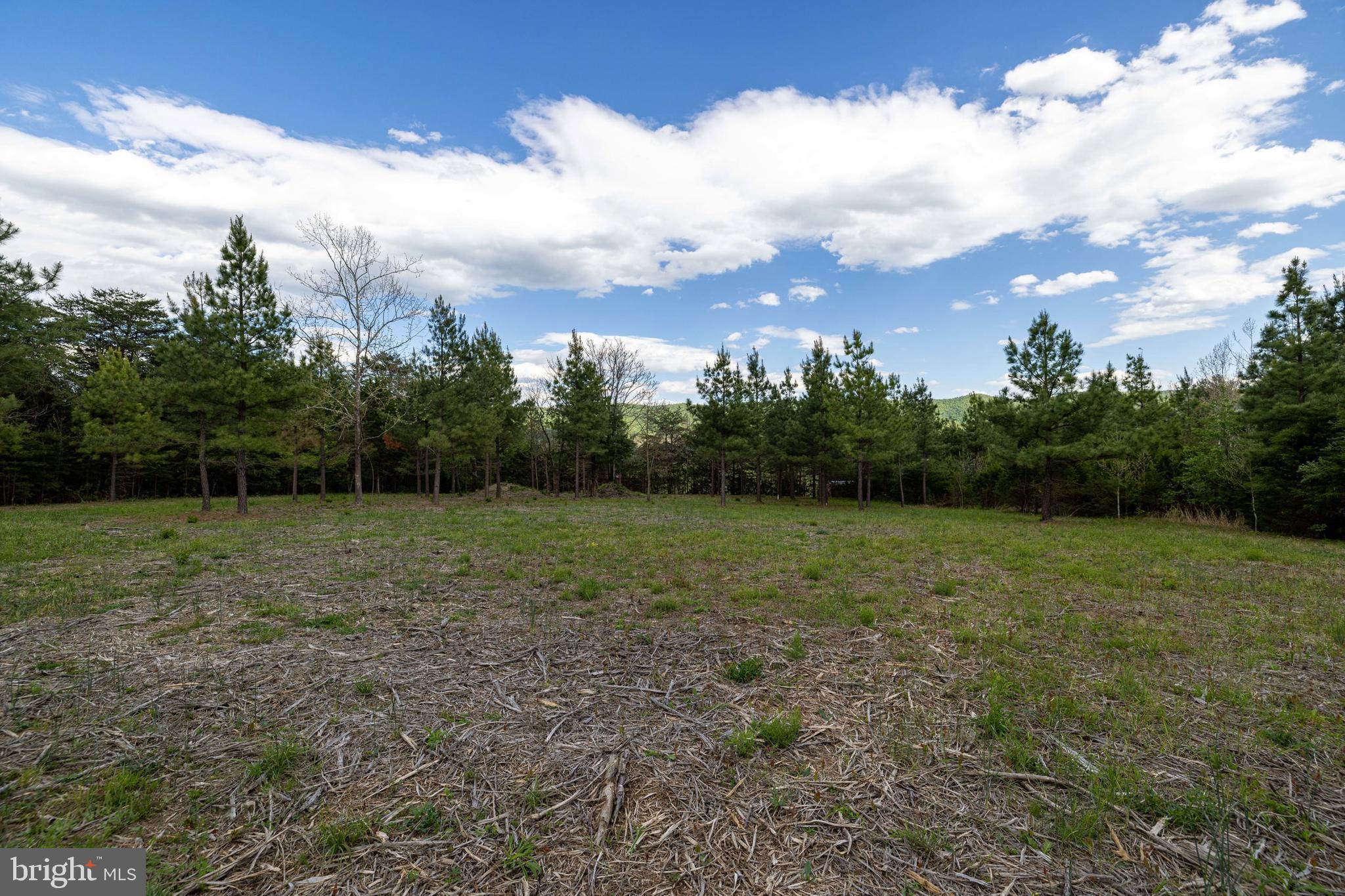 Boliver Road Fort Valley, VA 22652 - Photo 3 of 49