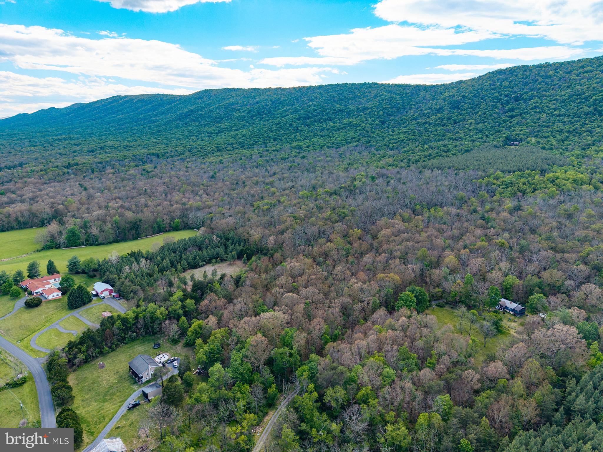 Boliver Road Fort Valley, VA 22652 - Photo 34 of 49