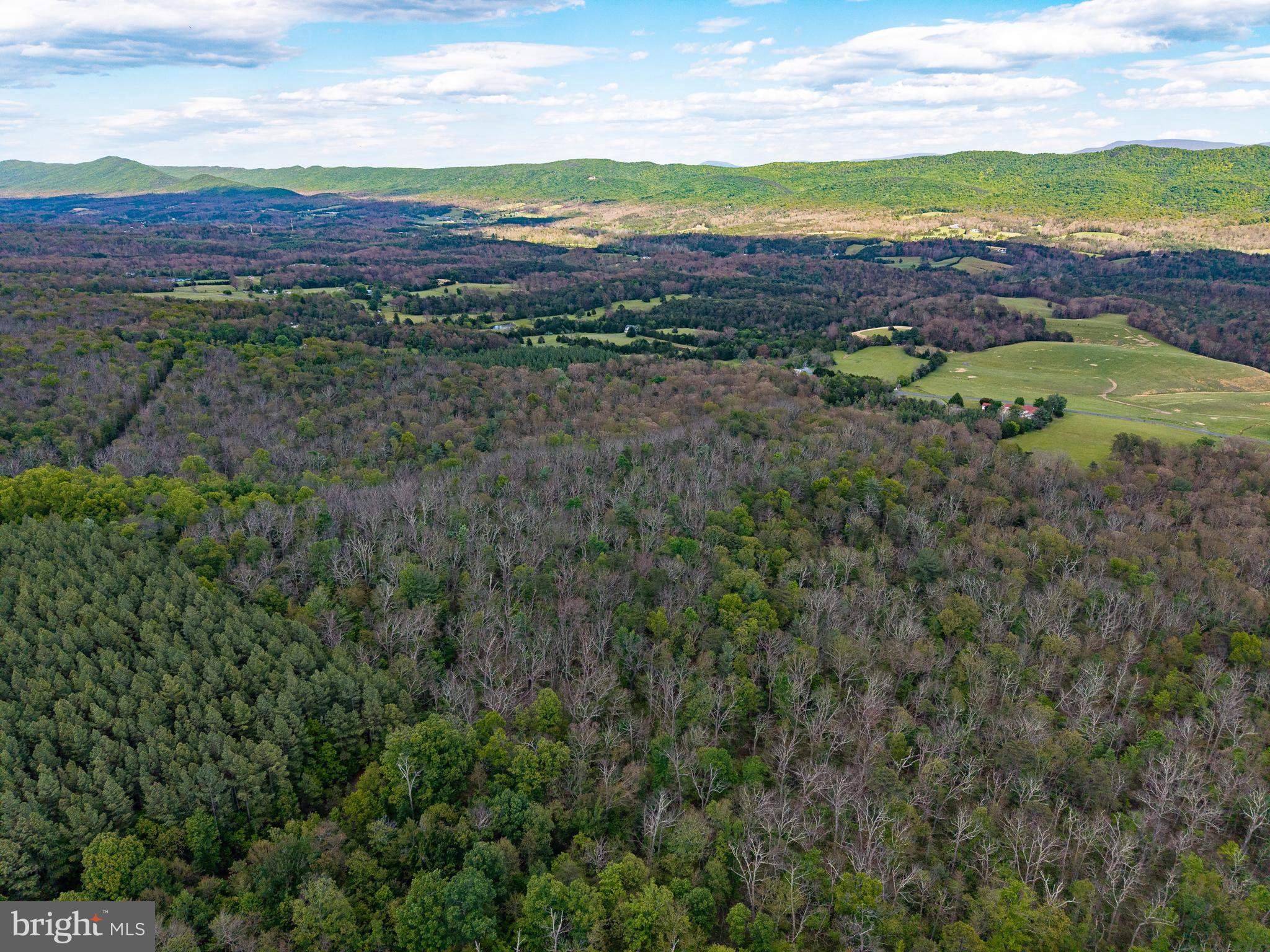 Boliver Road Fort Valley, VA 22652 - Photo 40 of 49