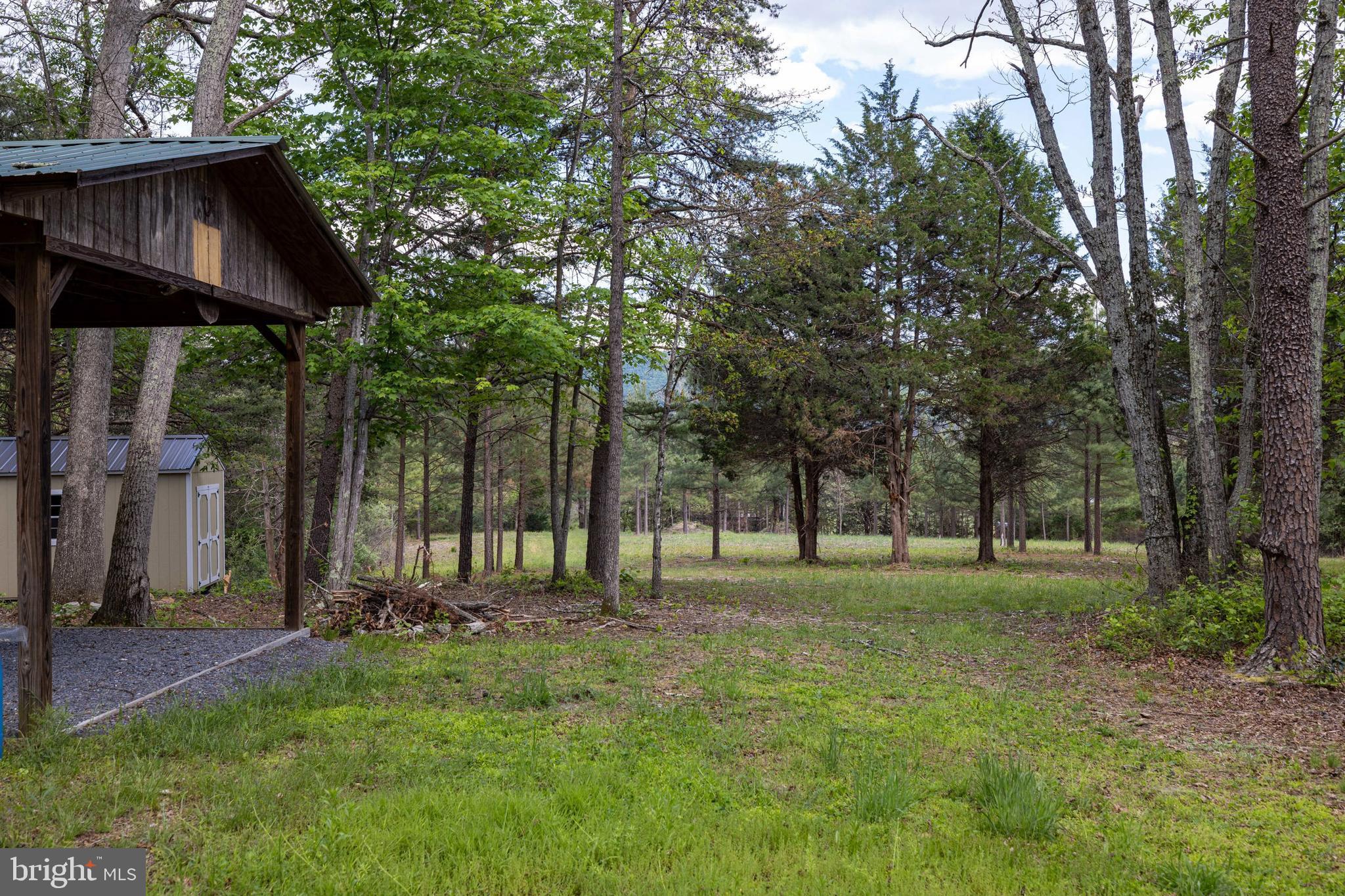 Boliver Road Fort Valley, VA 22652 - Photo 48 of 49