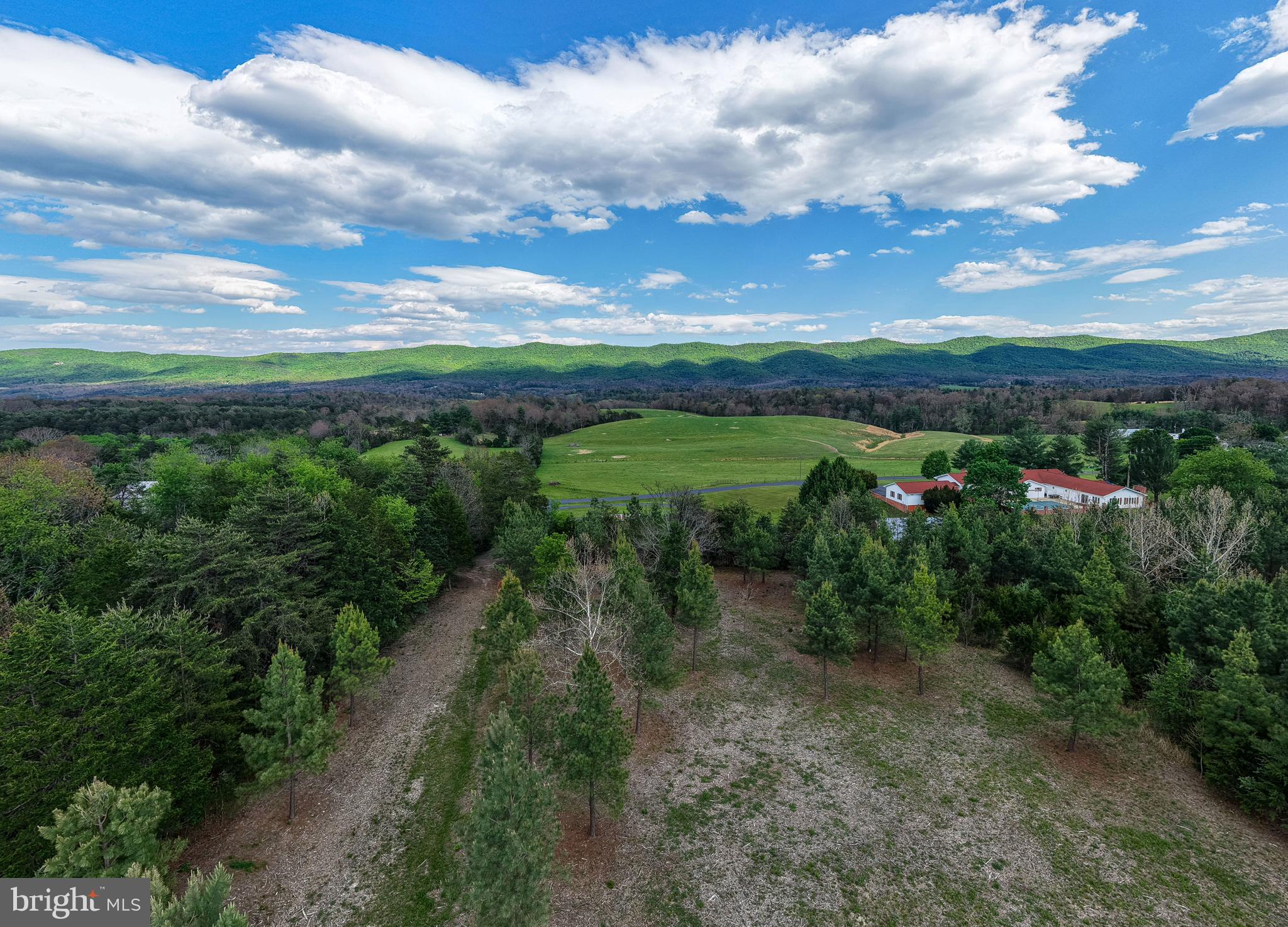 Boliver Road Fort Valley, VA 22652 - Photo 6 of 49