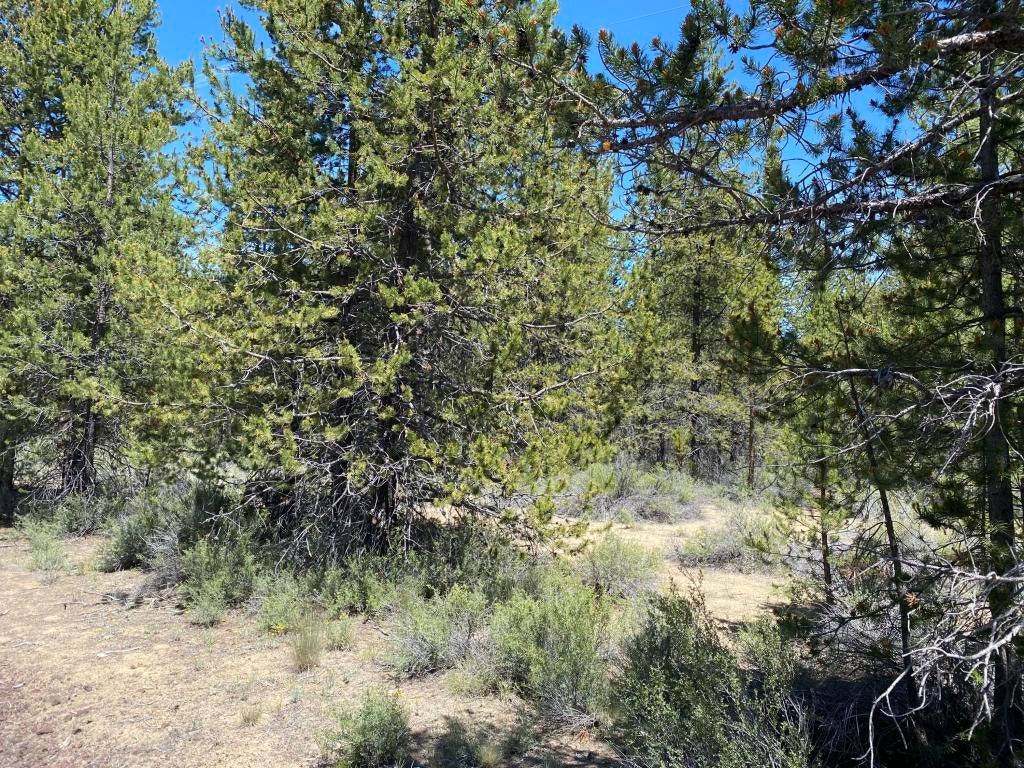 100 Huntington Road Bend, OR 97707 - Photo 2 of 4 h3