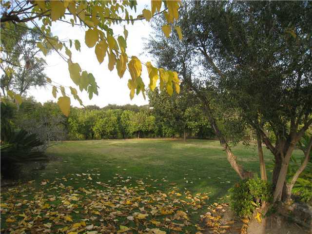 4989 Sleeping Indian Road Fallbrook, CA 92028 - Photo 7 of 8