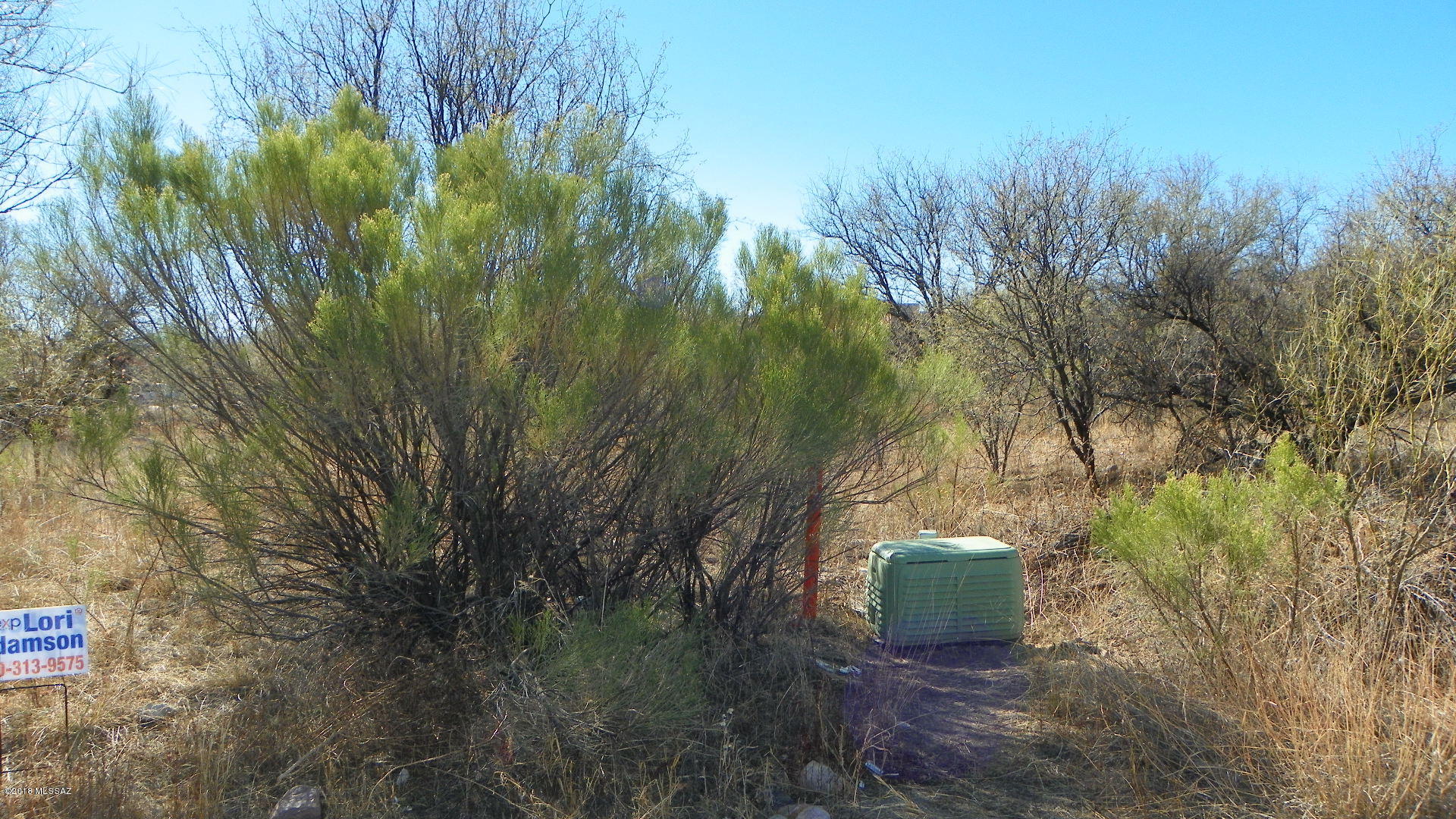 1181 Menta Court, Unit 6 Rio Rico, AZ 85648 - Photo 3 of 5