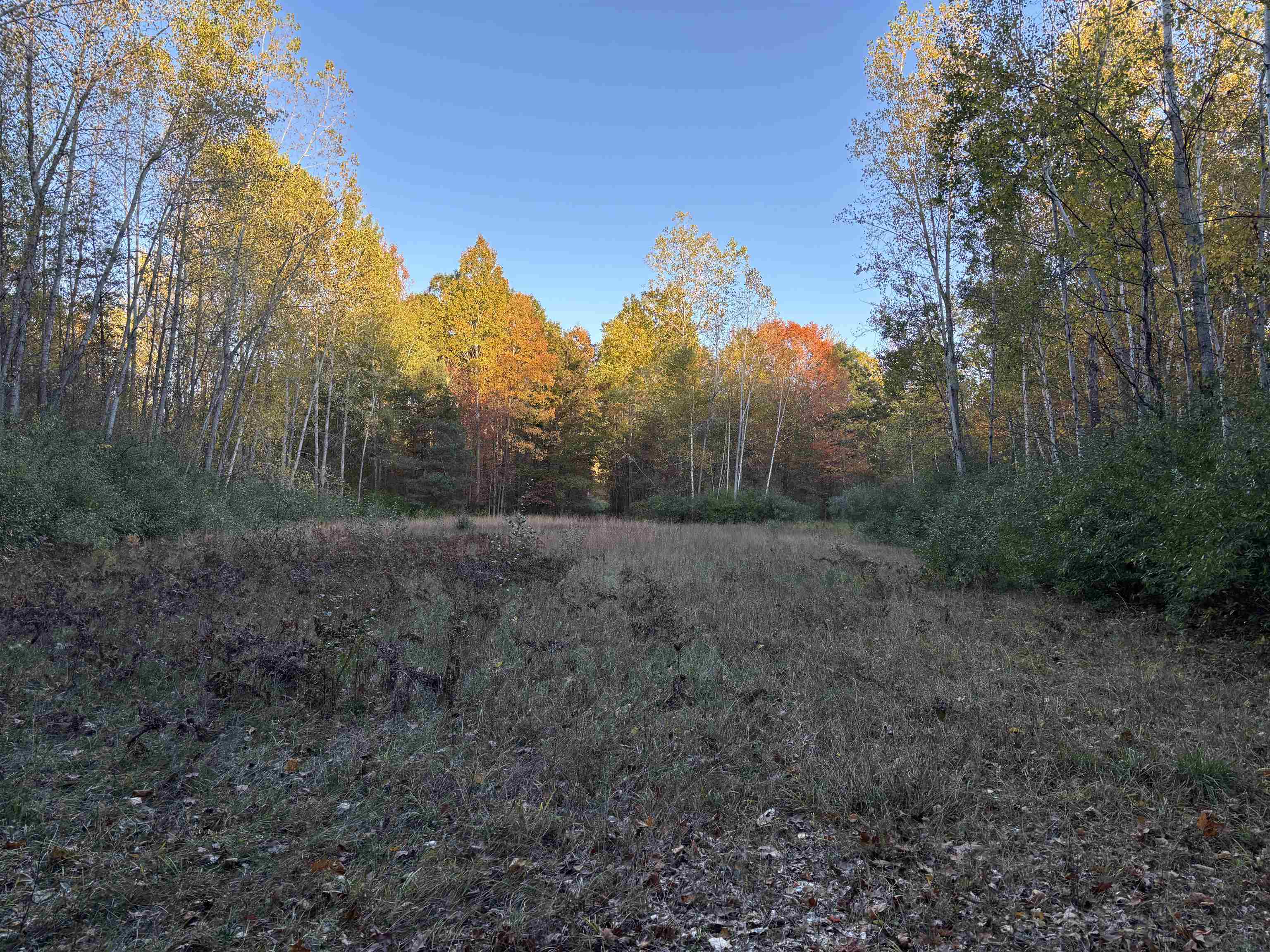 10000 East Pickard Road Mount Pleasant, MI 48858 - Photo 5 of 18