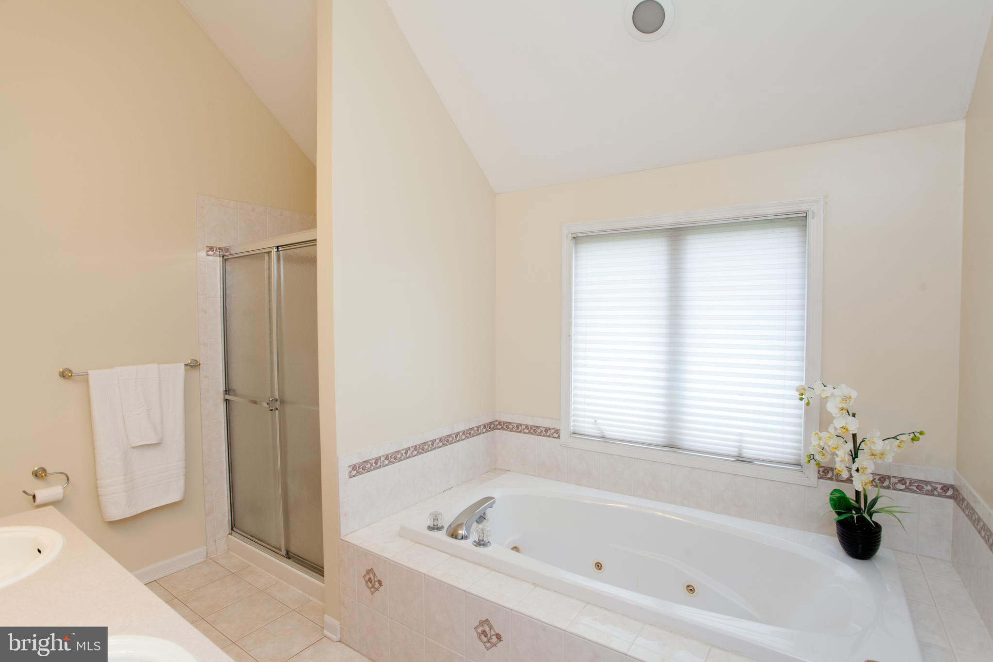 52 Rick Road Milford, NJ 08848 - Photo 24 of 42 Primary Ensuite Bath with Soaking Tub & Shower