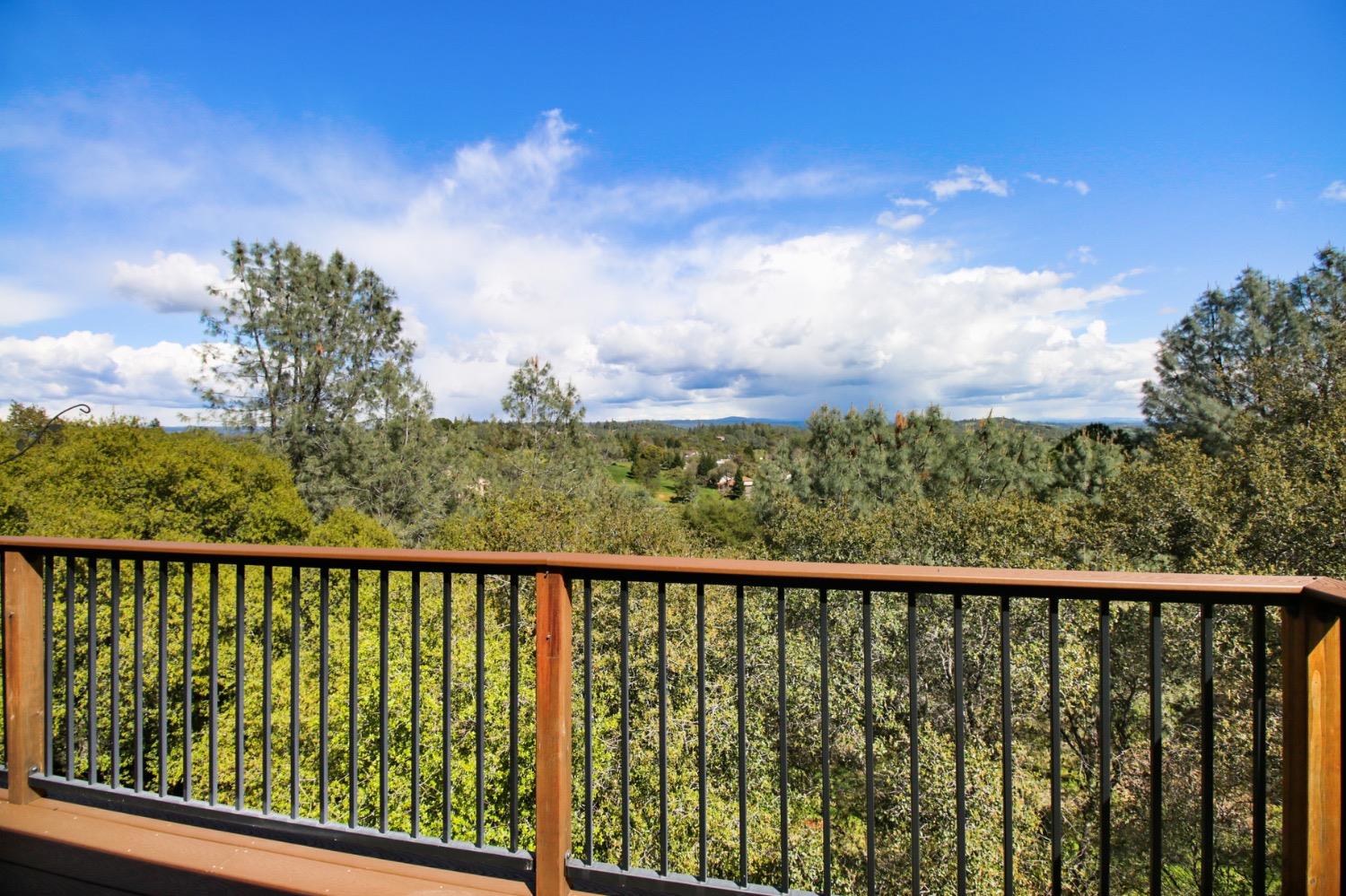 1276 Coon Court Cool, CA 95614 - Photo 26 of 79