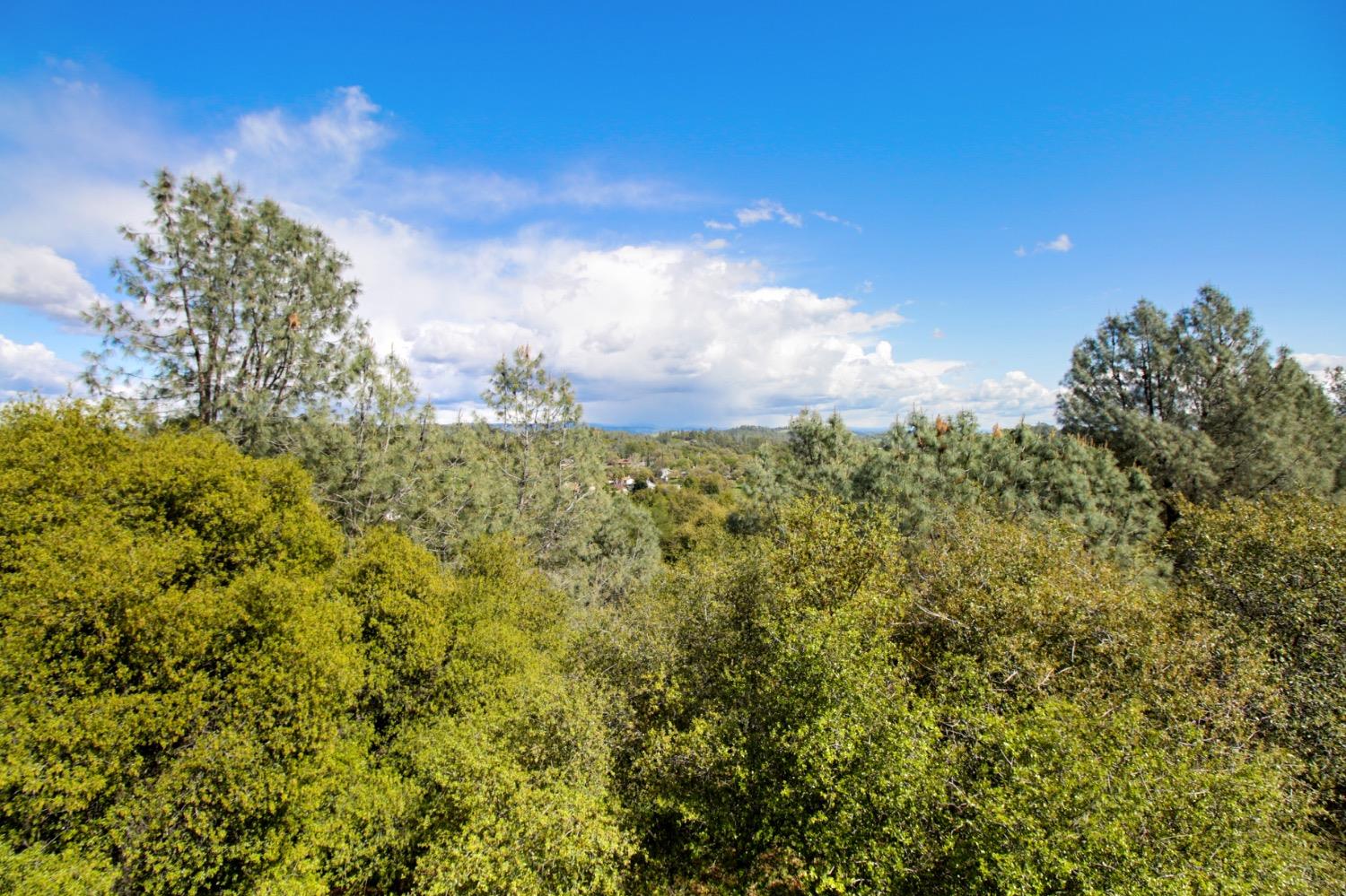 1276 Coon Court Cool, CA 95614 - Photo 27 of 79