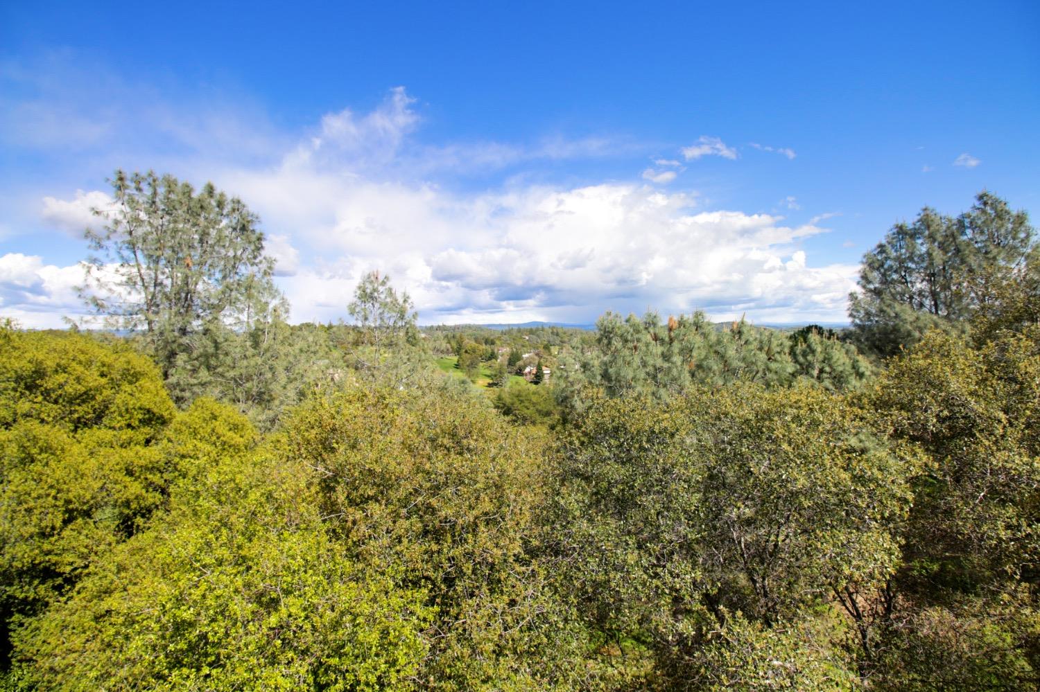 1276 Coon Court Cool, CA 95614 - Photo 28 of 79 a view of a bunch of trees