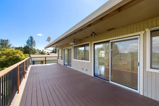 a view of backyard with tree