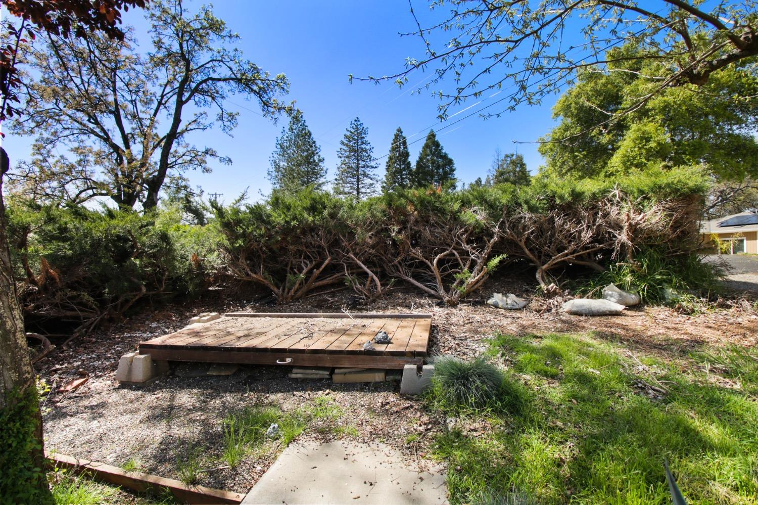 1276 Coon Court Cool, CA 95614 - Photo 50 of 79