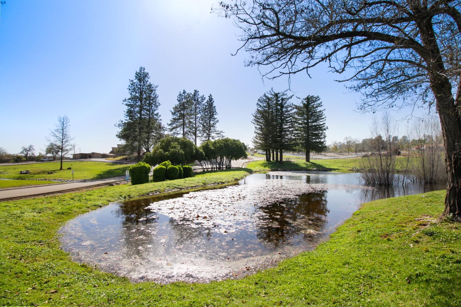 1276 Coon Court Cool, CA 95614 - Photo 55 of 79 a view of a lake with a yard