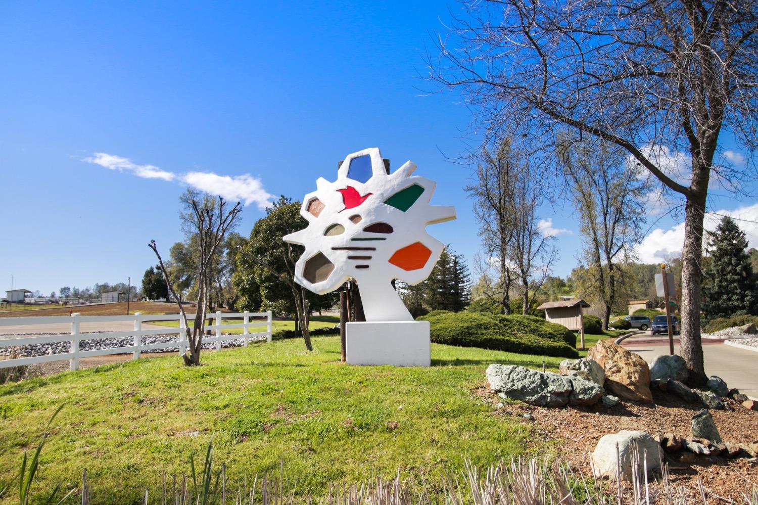 1276 Coon Court Cool, CA 95614 - Photo 59 of 79