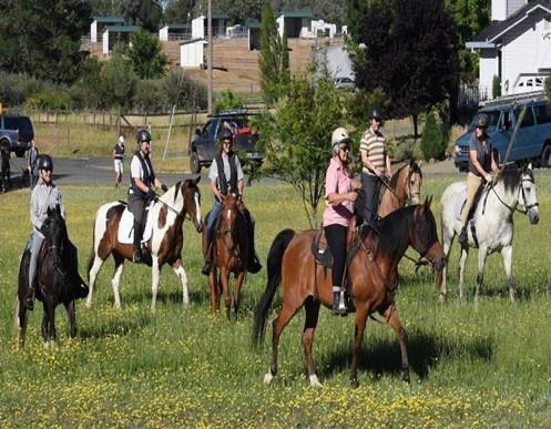 1276 Coon Court Cool, CA 95614 - Photo 75 of 79