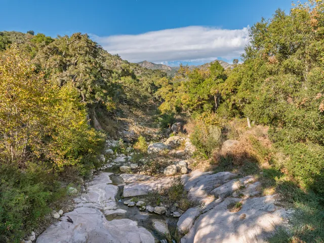 a view of a large yard with lots of bushes