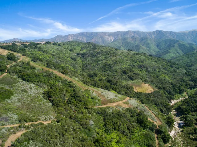 a view of a city with lush green forest