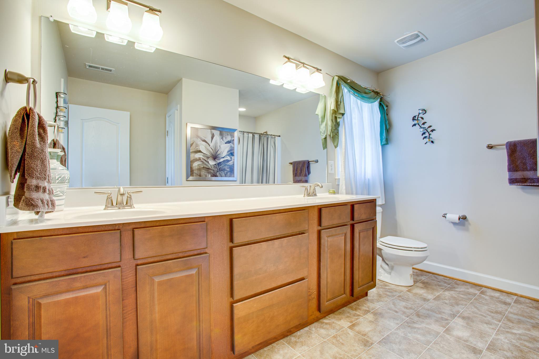 6081 Marineview Road King George, VA 22485 - Photo 38 of 87 Second floor master bath