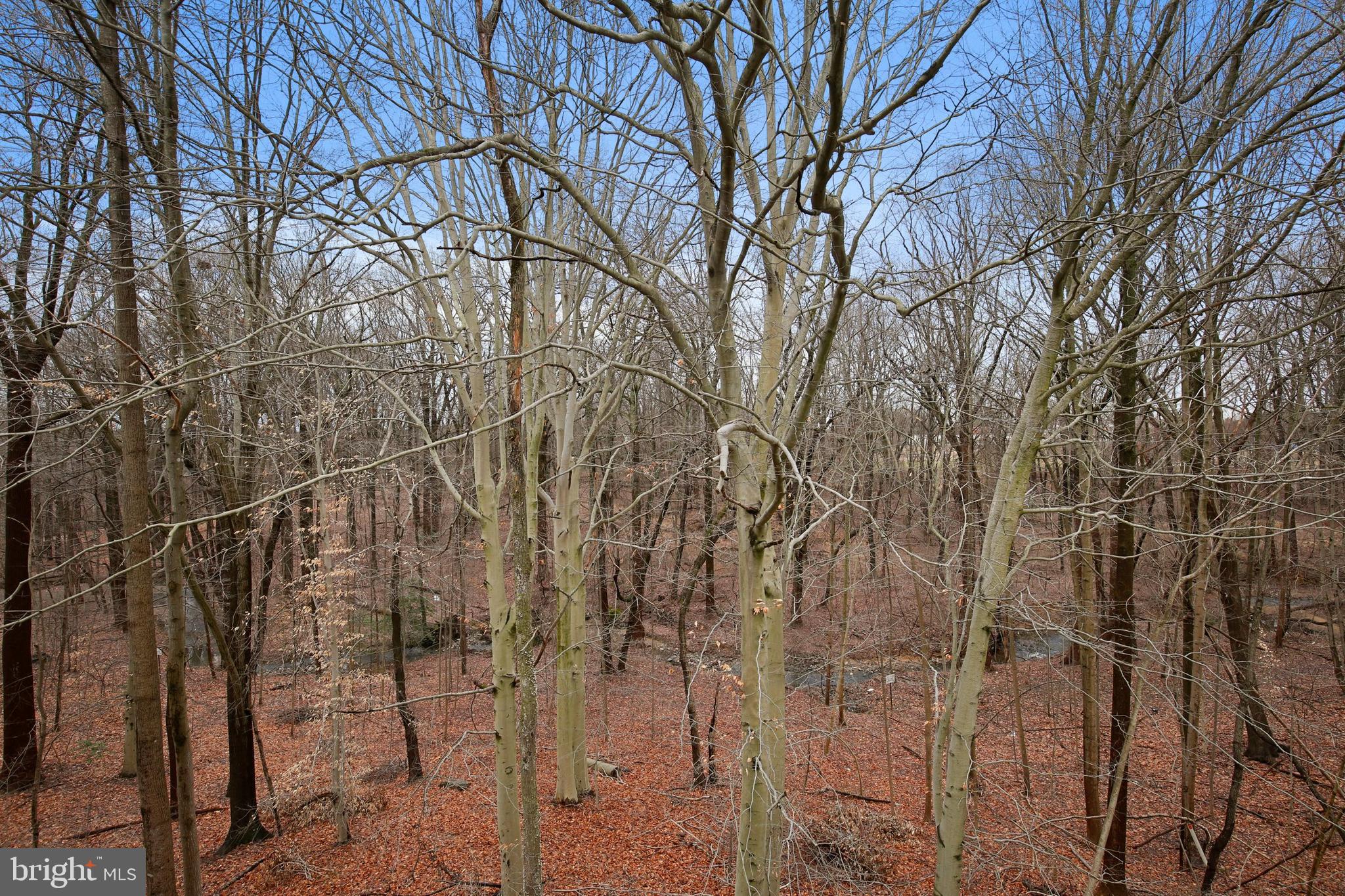 3313 Sir Thomas Drive, Unit 4C33 Silver Spring, MD 20904 - Photo 33 of 34