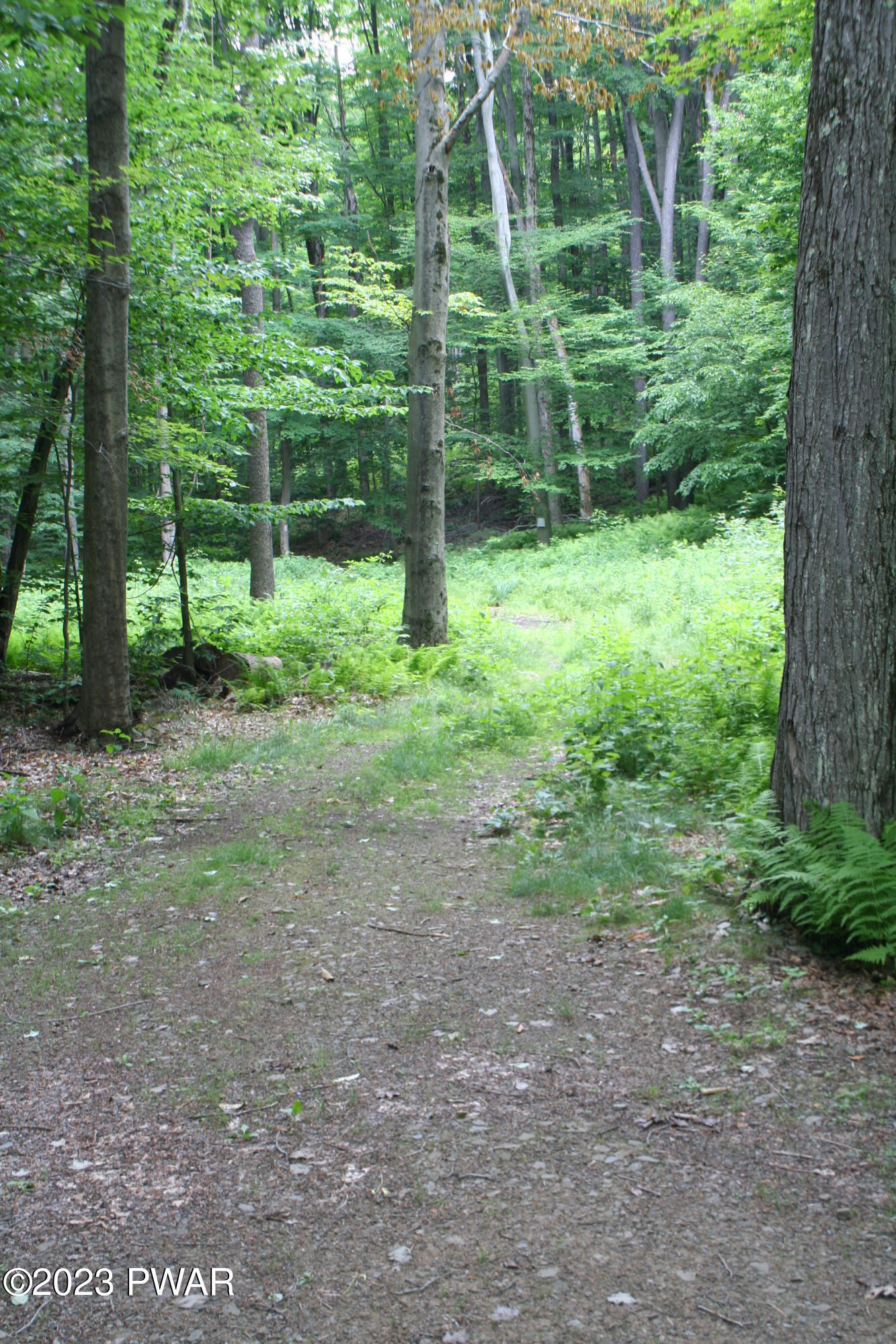 208 Lake Road Lake Ariel, PA 18436 - Photo 24 of 27 Miles of hiking trails