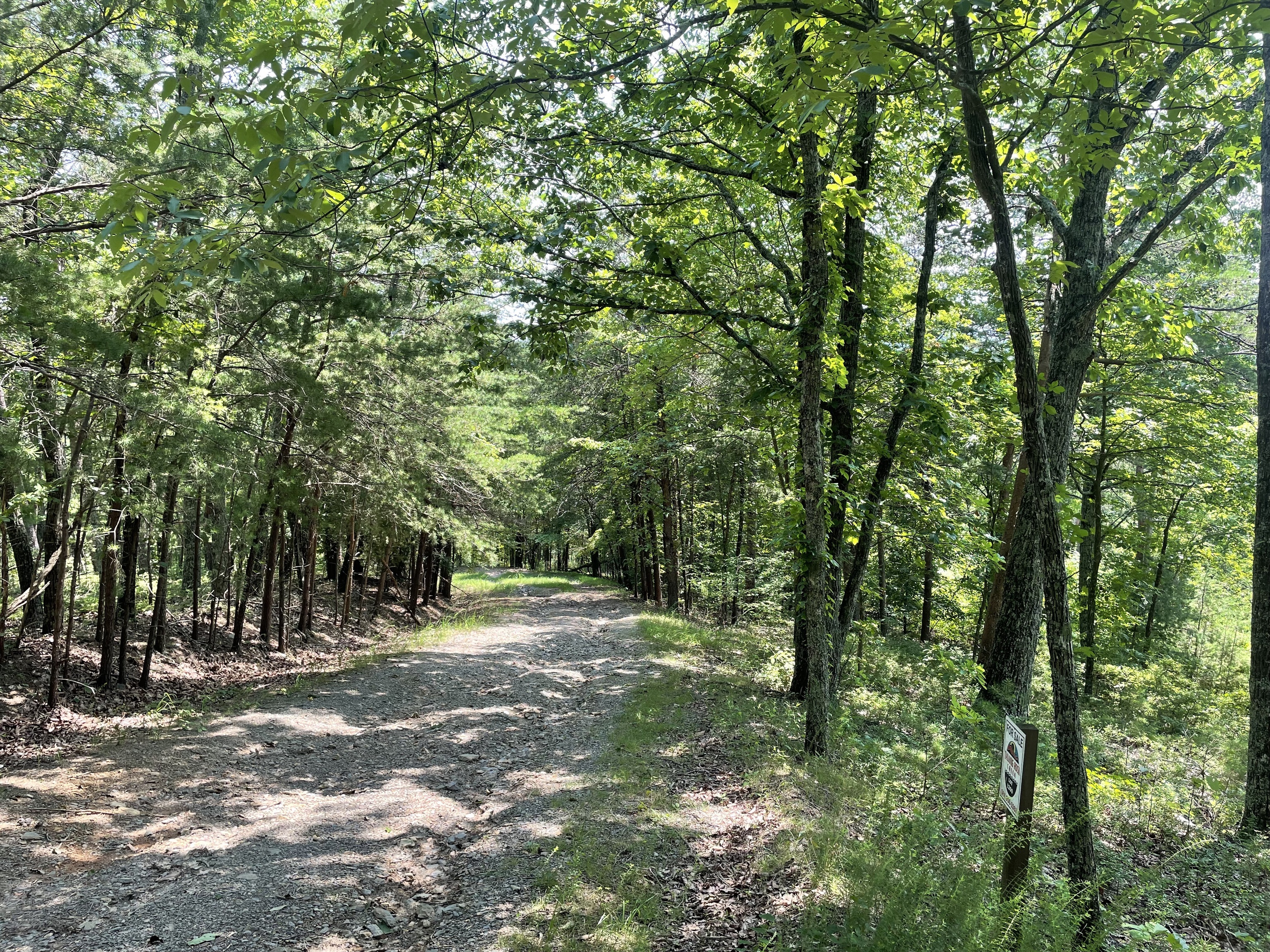 1200 Jewel Court Northeast Ranger, GA 30734 - Photo 3 of 12 a view of outdoor space with trees