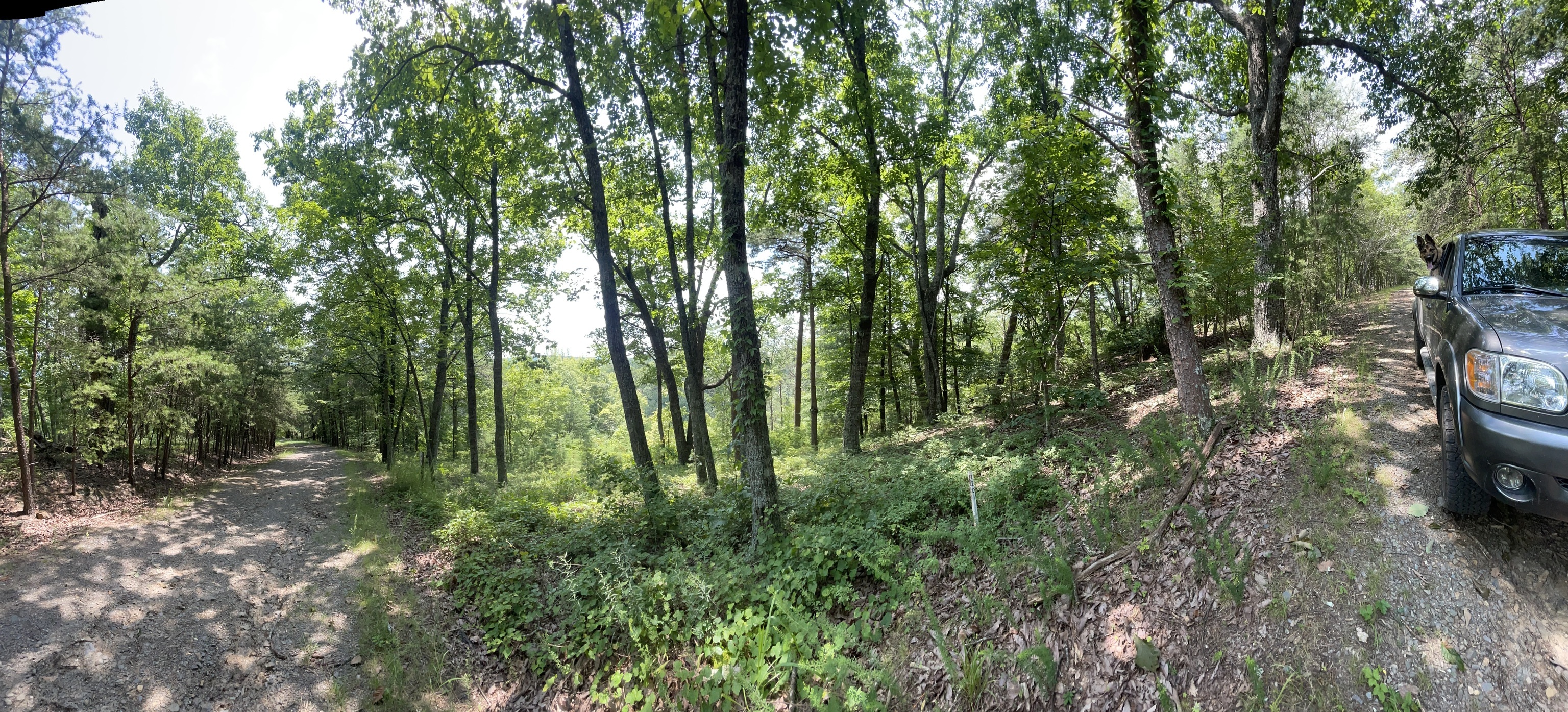 1200 Jewel Court Northeast Ranger, GA 30734 - Photo 4 of 12